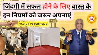 vastu dosh remedies | One Simple Remedy to Remove All Vastu Doshas | shiv vastu analysis | #vastu