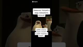 #thepenguinsofmadagascar #кавасаки #каго #крико #шкипер #shortvideo #shorts #перезалив #subscribe