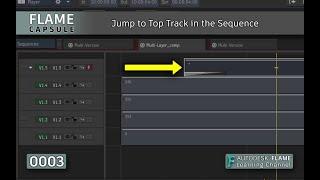 Flame Capsule 003 - Jump to Top Track in the Sequence - Flame 2021