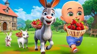 Old MacDonald Had A Farm New Compilation | Animal Farm | Nursery Rhymes and Kids Songs | Baby Bobo