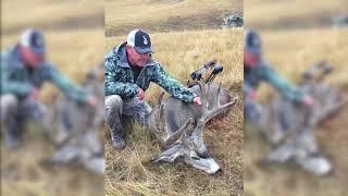 Harlan Hunts arrows a 200" Alberta mule deer shooting his bow left handed!