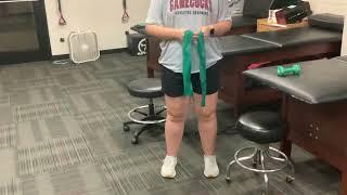 Subacromial Impingement Rehabilitation