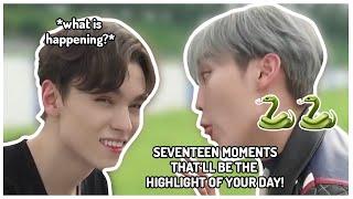 seventeen moments that'll be the HIGHLIGHT of your day!