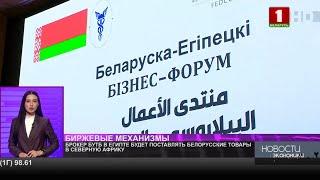 Брокер БУТБ в Египте обеспечит поставки сельхозпродукции и пиломатериалов в Северную Африку