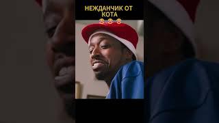 #фильм #кино #сериал #фильмы НЕОЖИДАННАЯ АТАКА КОТА