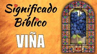 Viña Significado Bíblico | ¿Qué Significa Viña en la Biblia? 