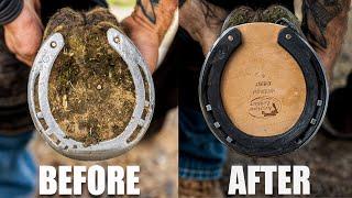 Satisfying Full Horse Hoof Restoration | 4K FARRIER ASMR