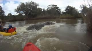 LUGENDA Expedition 2012 - Hippo Attack (fortunately with Happy Ending) [HD]