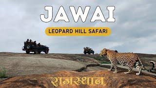 Jawai Leopard Hill Safari (Rajasthan) | Granite Rocks | Jawai Bandh (Dam) | Leopard Sighting