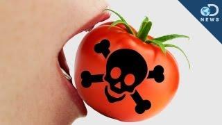 5 Poisonous Foods You Love