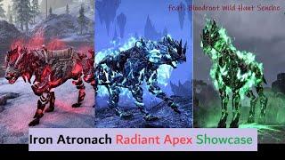 Iron Atronach Showcase