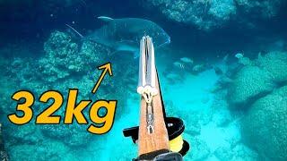 70lb Giant Trevally | Spearfishing in Japan