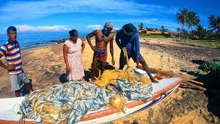 OMG! 300Kg Of Trenched Sardinella Fish Caught To Our Small Sailing Vessel