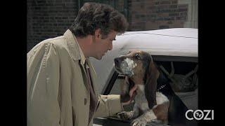 12 Things About "Dog" | Columbo | COZI Dozen