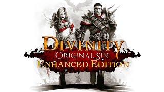 Divinity: Original Sin. Часть 51. Полуфинал.