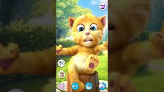 my ginger talking tom cat  and fun funny video games #video #talkingtomcat #shortvideo #cat