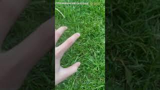 POV: someone tells me to touch grass