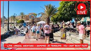 LIVE: YOU CAN’T BEAT THIS!  STUNNING WEATHER in Tenerife today & BUSY beaches ️