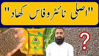 Which is original nitrophos fertilizer in Pakistan || Bilal Kanju Official