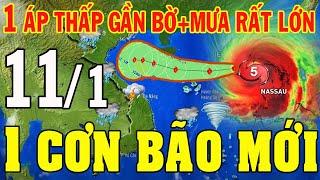 Tin bão Mới Nhất | Dự báo thời tiết hôm nay ngày mai 11/1/2025 | dự báo thời tiết 3 ngày tới