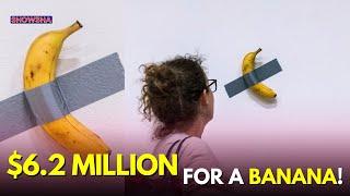 How A Banana Art By Maurizio Cattelan Sold For A Whopping $6.2 Million At Auction | EXPLAINED | N18G