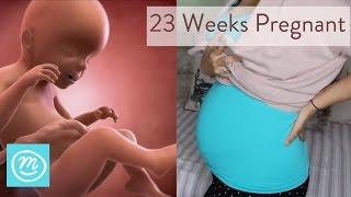 23 Weeks Pregnant: What You Need To Know - Channel Mum