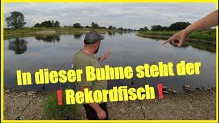 Angeln am Fluss mit Köderfisch und Wurm auf Aal Zander und Wels über Nacht !Fisch eskaliert an Elbe!