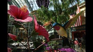 Bellagio Conservatory Spring Celebration 2021! Las Vegas