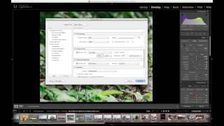 Lightroom Tip: Simple Export Settings for Print and Facebook