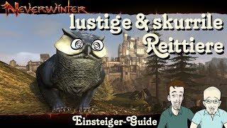 NEVERWINTER: Lustige und Skurrile Reittiere - Einsteiger Anfänger Guide Talk Showcase PS4 deutsch