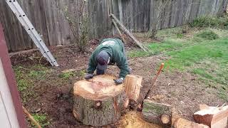 Splitting wood the old fashioned way with 8lb Stihl maul.