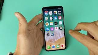 How to Turn off VoiceOver (Talk Back) on iPhone X