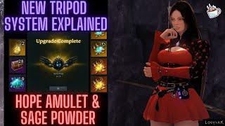 Lost Ark New Tripod System Explained ~HOW TO USE HOPE AMULETS AND GET SAGE POWDER~