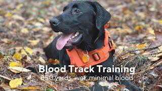 Blood Tracking Training | Puppy’s Longest track | Blood trailing in the rain
