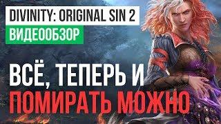 Обзор игры Divinity: Original Sin 2