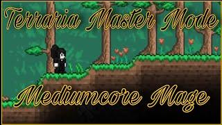 TERRARIA: Master Mode (Mediumcore) Part: 270