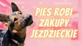 #VLOGMAS 9  MÓJ PIES ROBI ZAKUPY W SKLEPIE JEŹDZIECKIM CAVALLOSHOP ️