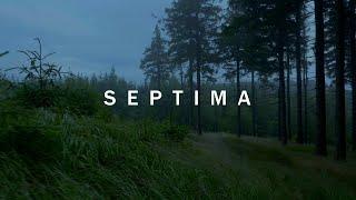 SEPTIMA - Foggy forest walk [4K]