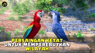 KALIAN PERNAH LIAT BURUNG TAWURAN? || Alur Cerita FIlm RIO 2 (2014)