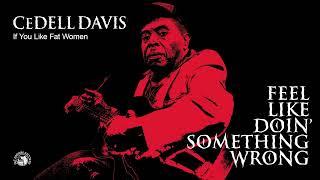 Cedell Davis - If You Like Fat Women (Official Audio)