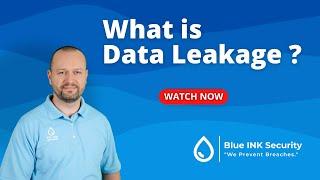 What is Data Leakage?