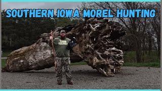 Southern IOWA Morel hunting