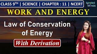 Class 9th Science | Law of Conservation of Energy (With Derivation) | Chapter 11: Work & Energy