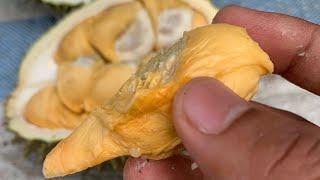 Ternyata Ini Rahasia Cepat Untuk Mengetahui Warna & Ketebalan Daging Durian
