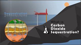 What is Carbon Dioxide Sequestration?