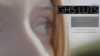 GH5 LUTS - LUTS For V-LOG or without