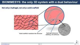 Applications for 3D in vitro models with BIOMIMESYS® Oncology