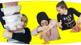 Eğlenceli Slime Challenge - Eski slime lar ile Meteor Slime yaptık Fenomen Tv