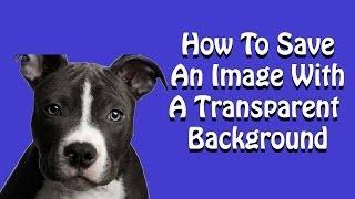 How To Save An Image With Transparent Background - Photoshop Tutorial