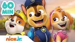 PAW Patrol | Die besten PAW Patrol-Momente - 1 Stunde! | Nick Jr. Deutschland